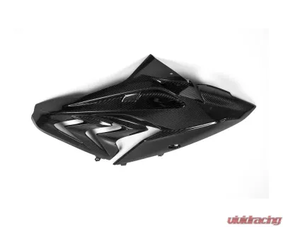 Ilmberger Fairing Side Panel Right - BMW S1000 RR Street 2015 - VER.302.S115S.K