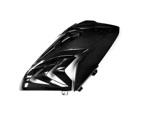 Ilmberger Fairing Side Panel Right Side Carbon - BMW S1000 RR Racing w/o ABE 2015
