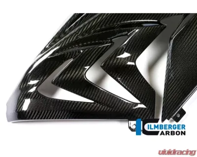Ilmberger Fairing Side Panel Right Side Carbon - BMW S1000 RR Racing w/o ABE 2015 - VER.355.S1R15.K