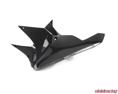 Ilmberger Bellypan Long Version - BMW S1000 RR Street 2017 - VEU.001.S117S.K