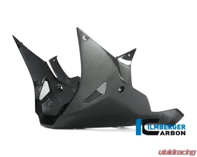Ilmberger Bellypan Long Version - BMW S1000 RR Street 2017 - VEU.001.S117S.K