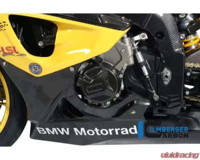 Ilmberger Alternator Cover Carbon - BMW S1000 RR Racing w/o ABE 2010+ - LMD.075.S1RAR.K