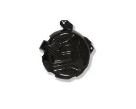 Ilmberger Alternator Cover Carbon - BMW S1000 RR Racing w/o ABE 2010+
