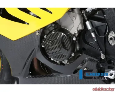 Ilmberger Alternator Cover Carbon - BMW S1000 RR Racing w/o ABE 2010+ - LMD.075.S1RAR.K
