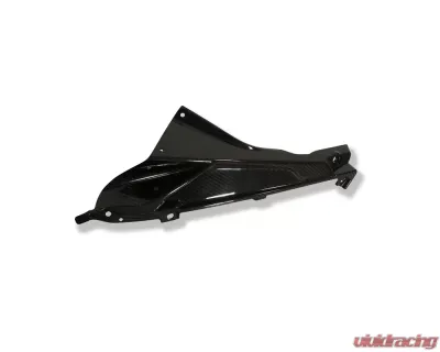 Ilmberger Fairing Side Panel Upper Badge Holder Left Carbon - BMW S1000 RR Street | HP4 - VEL.028.S100S.K