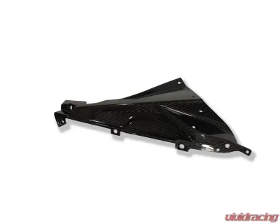 Ilmberger Fairing Side Panel Upper Badge Holder Right Carbon - BMW S1000 RR Street | HP4 - VER.027.S100S.K