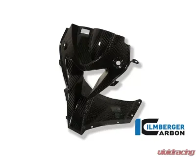Ilmberger Air Intake Front Fairing Centre Piece Carbon - BMW S1000 RR Street | HP4 - VEO.026.S100S.K