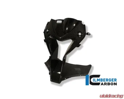 Ilmberger Air Intake Front Fairing Centre Piece Carbon - BMW S1000 RR Street | HP4 - VEO.026.S100S.K