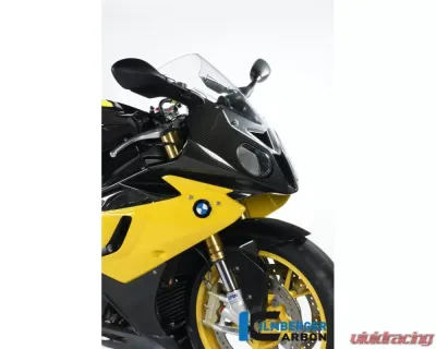 Ilmberger 1pc Front Fairing Carbon - BMW S1000 RR Street | HP4 - VEO.001.S100S.K