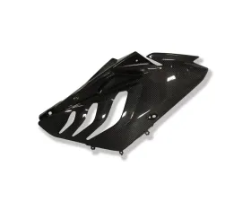 Ilmberger Fairing Side Panel Right Carbon - BMW S1000 RR Street 2010-2011