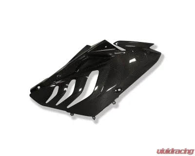 Ilmberger Fairing Side Panel Right Carbon - BMW S1000 RR Street 2010-2011 - VER.002.S1CSI.K
