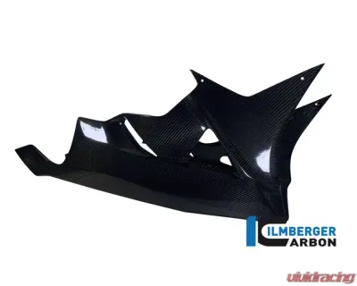 Ilmberger Bellypan Carbon - BMW HP4 2012+ - VEU.046.HP4ST.K