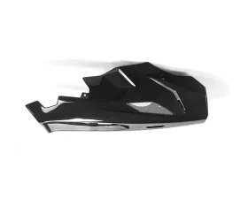 Ilmberger Bellypan - BMW S1000 XR 2015-2019