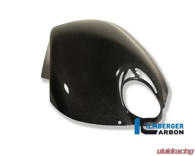 Ilmberger Airbox Cover Carbon - Buell XB 9/12 - TDA.022.RBUEL.K