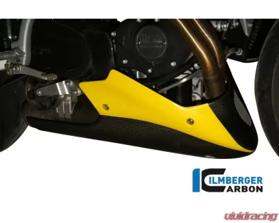 Ilmberger Bellypan Long Carbon - Buell XB 9/12 - VEO.003.RBUEL.K