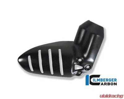 Ilmberger Big Version Rear Suspension Cover Carbon - Ducati 1199 Panigale - FAG.019.D1199.K