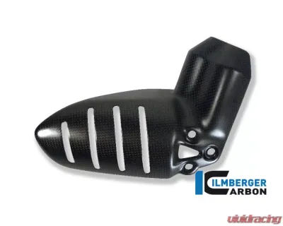 Ilmberger Big Version Rear Suspension Cover Carbon - Ducati 1199 Panigale - FAG.019.D1199.K
