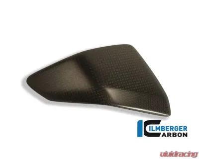 Ilmberger Frame Cover Inset Left Carbon - Ducati 1199|899 Panigale - SEL.029.D1199.K