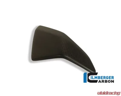 Ilmberger Frame Cover Inset Left Carbon - Ducati 1199|899 Panigale - SEL.029.D1199.K