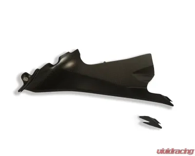 Ilmberger Airtube Covers Right Carbon - Ducati 1199|899 Panigale - WAR.014.D1199.K
