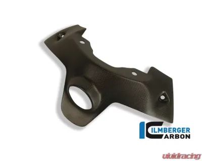 Ilmberger Matte Ignition Switch Cover Ducati 1299|959 Panigale - ZSA.125.1299M.K