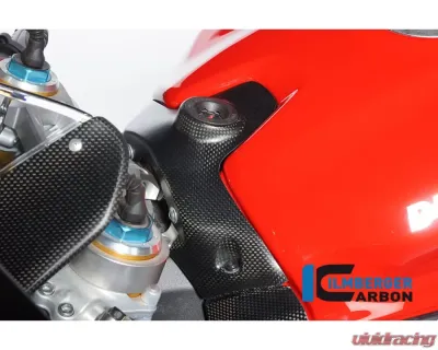 Ilmberger Matte Ignition Switch Cover Ducati 1299|959 Panigale - ZSA.125.1299M.K