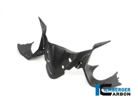 Ilmberger Matte Instrument Panel Cover Ducati 1299|959 Panigale