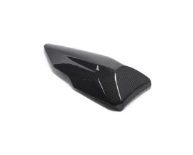 Ilmberger Gloss Passenger Seat Cowl Ducati 1299|959 Panigale