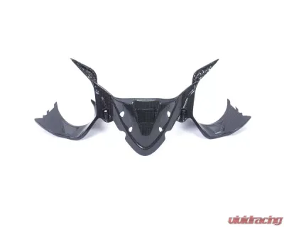 Ilmberger Gloss Instrument Panel Cover w/ GPS Ducati 1299|959 Panigale - IAO.015.1299G.K