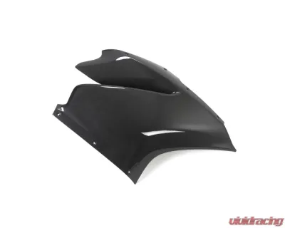 Ilmberger Glossy Fairing Side Panel Right Ducati 1299|959 Panigale - VER.002.1299G.K