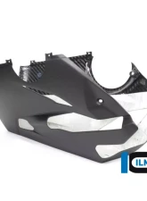 Ilmberger 1pc Matte Akrapovic Full Race Bellypan Ducati Panigale V4/V4 R/S 2018+                                     - VEU.148.DPV4M.K - Image 7