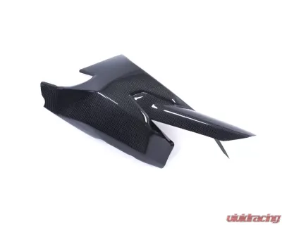 Ilmberger Gloss Swing Arm Cover Carbon - Ducati Supersport 939 | Monster 1200 2017+ - SSO.013.DSS7G.K