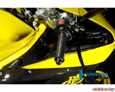 Ilmberger Airtube Covers Pair Carbon - Ducati 848|1098|1198 S/R - VEO.006.D1098.K