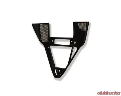 Ilmberger V-panel Carbon - Ducati 749/999 - VEO.001.999VE.K