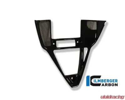 Ilmberger V-panel Carbon - Ducati 749/999 - VEO.001.999VE.K