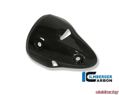 Ilmberger Exhaust Protection Right Carbon - Ducati 696 | 1100 Monster - AHR.004.D696M.K