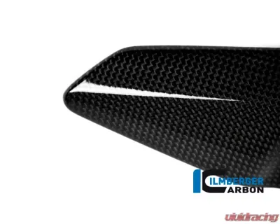 Ilmberger Gloss Heelguard Right Side - Ducati Monster 1200/1200 S 2014-2016 - FSR.007.D12MG.K