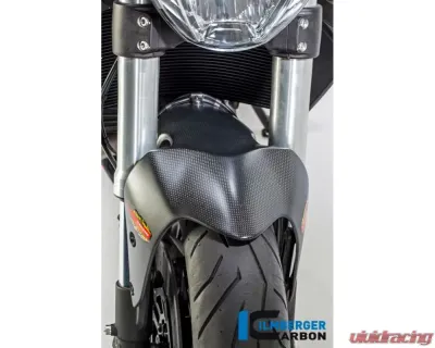 Ilmberger Matte Front Mudguard - Ducati Monster 821|1200|1200 R/S - KVO.101.D12MM.K