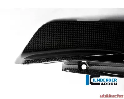 Ilmberger Gloss Under Frame Cover Left Side - Ducati Monster 821|1200|1200 R/S - ARL.005.D12MG.K