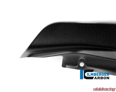 Ilmberger Matte Under Frame Cover Left Side - Ducati Monster 821|1200|1200 R/S - ARL.105.D12MM.K