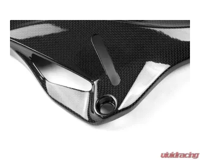 Ilmberger Gloss Under Fram Cover Right Side - Ducati Monster 821|1200|1200 R/S - ARR.006.D12MG.K
