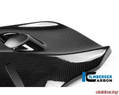 Ilmberger Gloss Under Fram Cover Right Side - Ducati Monster 821|1200|1200 R/S - ARR.006.D12MG.K