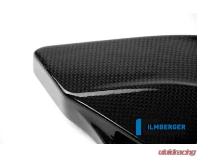 Ilmberger Gloss Under Fram Cover Right Side - Ducati Monster 821|1200|1200 R/S - ARR.006.D12MG.K
