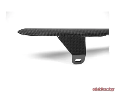 Ilmberger Gloss Rear Sprocket Protector Carbon - Ducati Monster 1200 | 1200 R/S 2014+ - KEH.010.D12MG.K