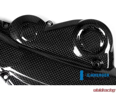 Ilmberger Gloss Belt Cover Carbon - Ducati Monster 821|1200|1200 R/S - ZAH.012.D12MG.K