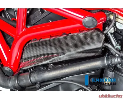 Ilmberger Gloss Under Frame Cover Left Side - Ducati Monster 821|1200|1200 R/S - ARL.005.D12MG.K