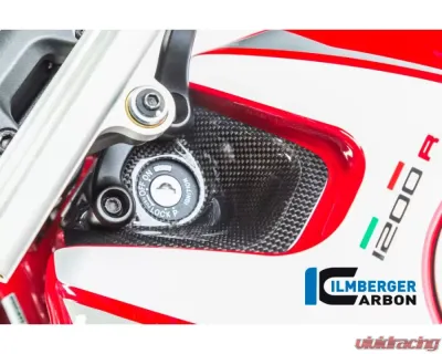 Ilmberger Gloss Ignition Switch Cover Ducati Monster 821|1200|1200 S - TDA.001.MR12G.K