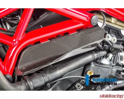 Ilmberger Gloss Under Frame Cover Left Side - Ducati Monster 821|1200|1200 R/S - ARL.005.D12MG.K