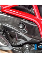 Ilmberger Gloss Under Fram Cover Right Side - Ducati Monster 821|1200|1200 R/S                                     - ARR.006.D12MG.K - Image 6