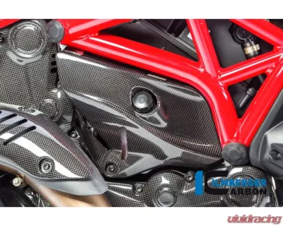 Ilmberger Gloss Under Fram Cover Right Side - Ducati Monster 821|1200|1200 R/S - ARR.006.D12MG.K